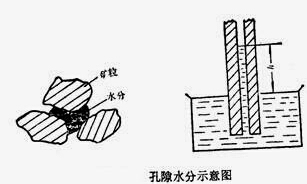 干燥設備中固體物料與水分的結合方式